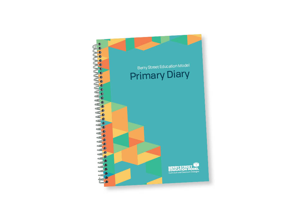 BSEM Primary Diary